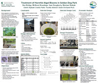 1- Ingm SDP Trt -  BE487 Team 1 PosterThumbnail.jpg